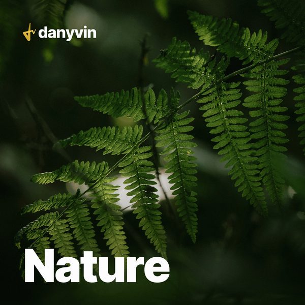 Music for Nature Videos