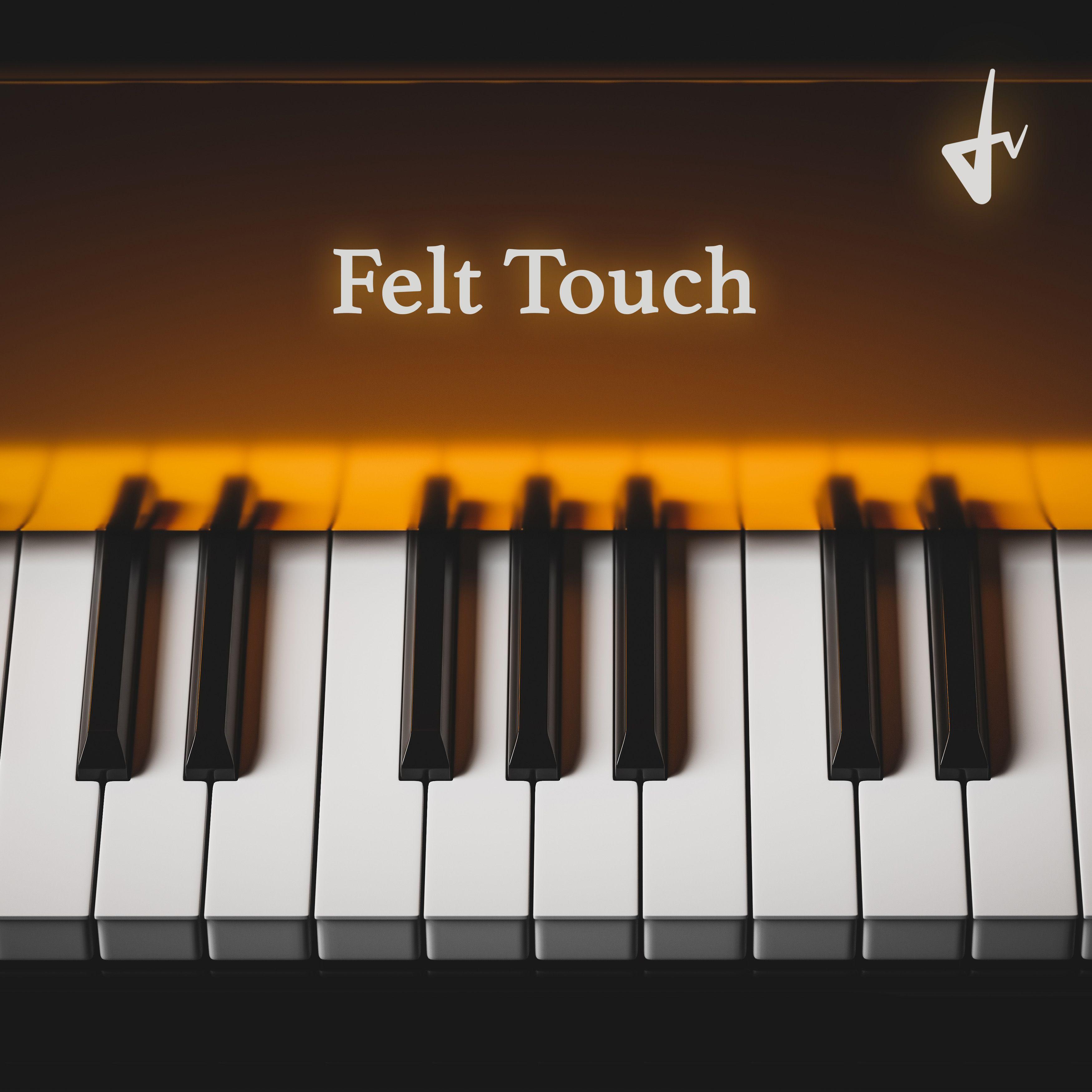 Felt Touch