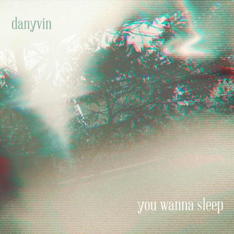 You Wanna Sleep
